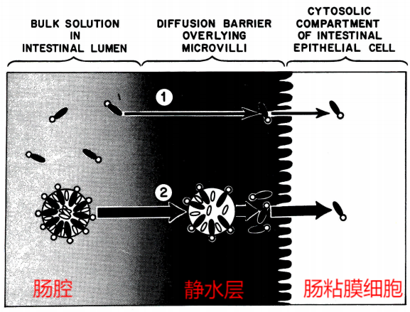 圖片2.png